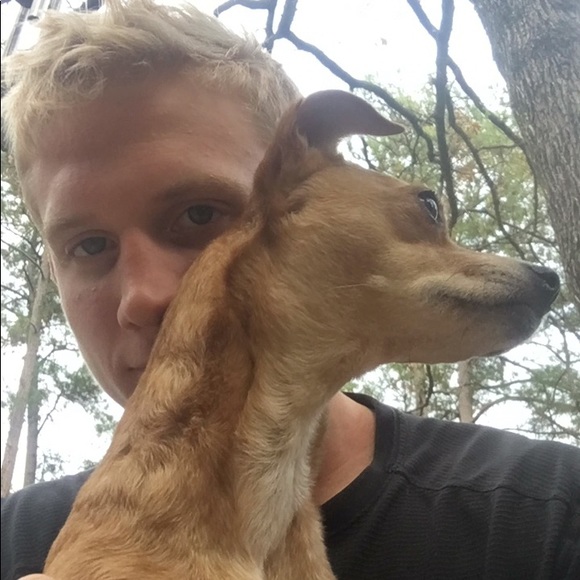 Hello and Welcome! - Picture 2 of 2